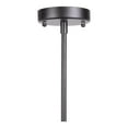 thumbnail image 5 of MOE'S Home, DRACO PENDANT LAMP, 5 of 6