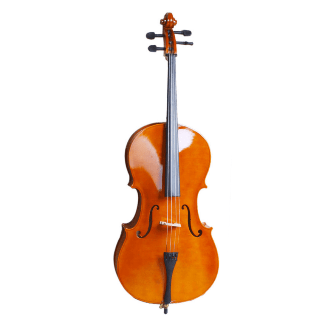 Hassch Full-Size Cello, Beginner Cello 4/4, Acoustic Cello Kit with Portable Bag, Bow, Bridge, Rosin, String Musical Instruments, Natural