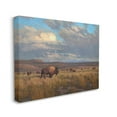 thumbnail image 4 of Stupell Industries Buffalo Cloudy Landscape Landscape Painting Gallery Wrapped Canvas Art Print Wall Art, 20 x 16, 4 of 8