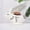 B, variant on Flowerpots with Dish Ceramic, Cartoon Animal Flowerpot Creative Fleshy Plant Flowerpot White Porcelain Rabbit Home Ceramic Flowerpot Creative Gardening, Flower Pots