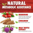 thumbnail image 4 of DR. EMIL NUTRITION Berberine 500mg Capsules, 60 Count, 30 Servings, 4 of 8