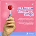 thumbnail image 6 of Charms Blow Pops Lollipops Assorted Flavors Individually Wrapped 2 Pack 3.25 oz with Reusable Snack Bag by The Mulberry Shop, 6 of 8
