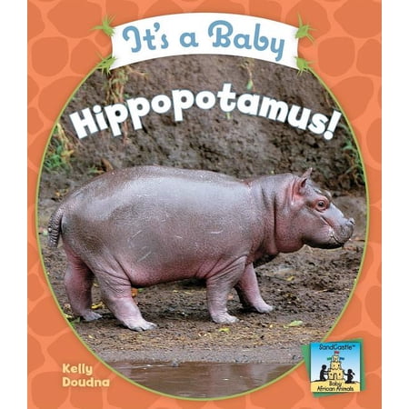 Sandcastle: Baby African Animals: It s a Baby Hippopotamus! (Hardcover)