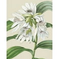 thumbnail image 2 of Vision Studio 12x14 Gold Ornate Wood Framed with Double Matting Museum Art Print Titled - Orchid Blooms III, 2 of 4