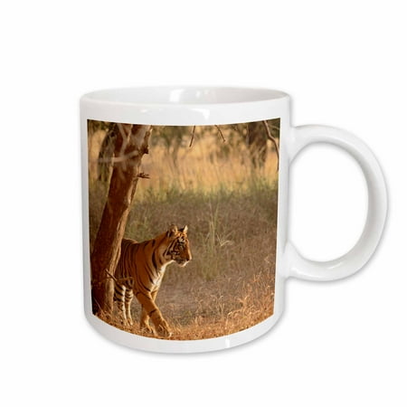 3drose, Royal Bengal Tiger, Ranthambhor National Park, India-as10 Jra0318 - Jagdeep Rajput, 15oz Mug