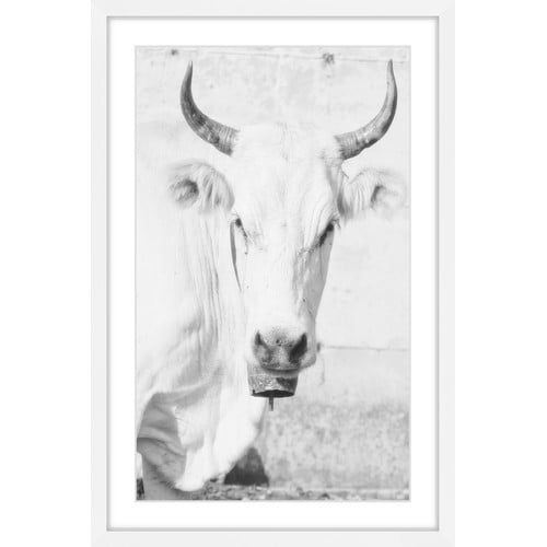 "Cow Face" Framed Painting Print