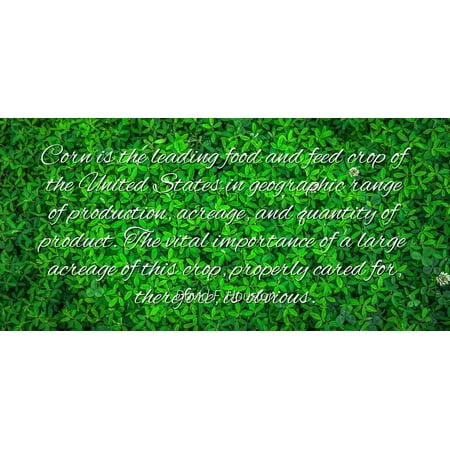 David F. Houston - Famous Quotes Laminated POSTER PRINT 24x20 - Corn is the leading food and feed crop of the United States in geographic range of production, acreage, and quantity of product. The