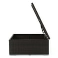 Faviola Outdoor Wicker Coffee Table with Storage, Multibrown