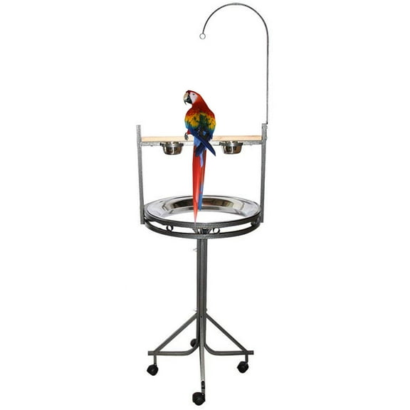 Large Elegant and Heavy Duty Wrought Iron Parrot Play Gym Ground Stand with Wood Perch Stainless Steel Tray Toy Hook and Stainless Steel Cups On Wheel