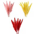 thumbnail image 1 of Flores Secas BLESIY 45 Ramo de Hierba de Pampa para Decoración Bohemia, 1 of 8