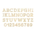 thumbnail image 4 of Essentials By Leisure Arts Arts Wood Letter 9.5" Birch W, 4 of 4