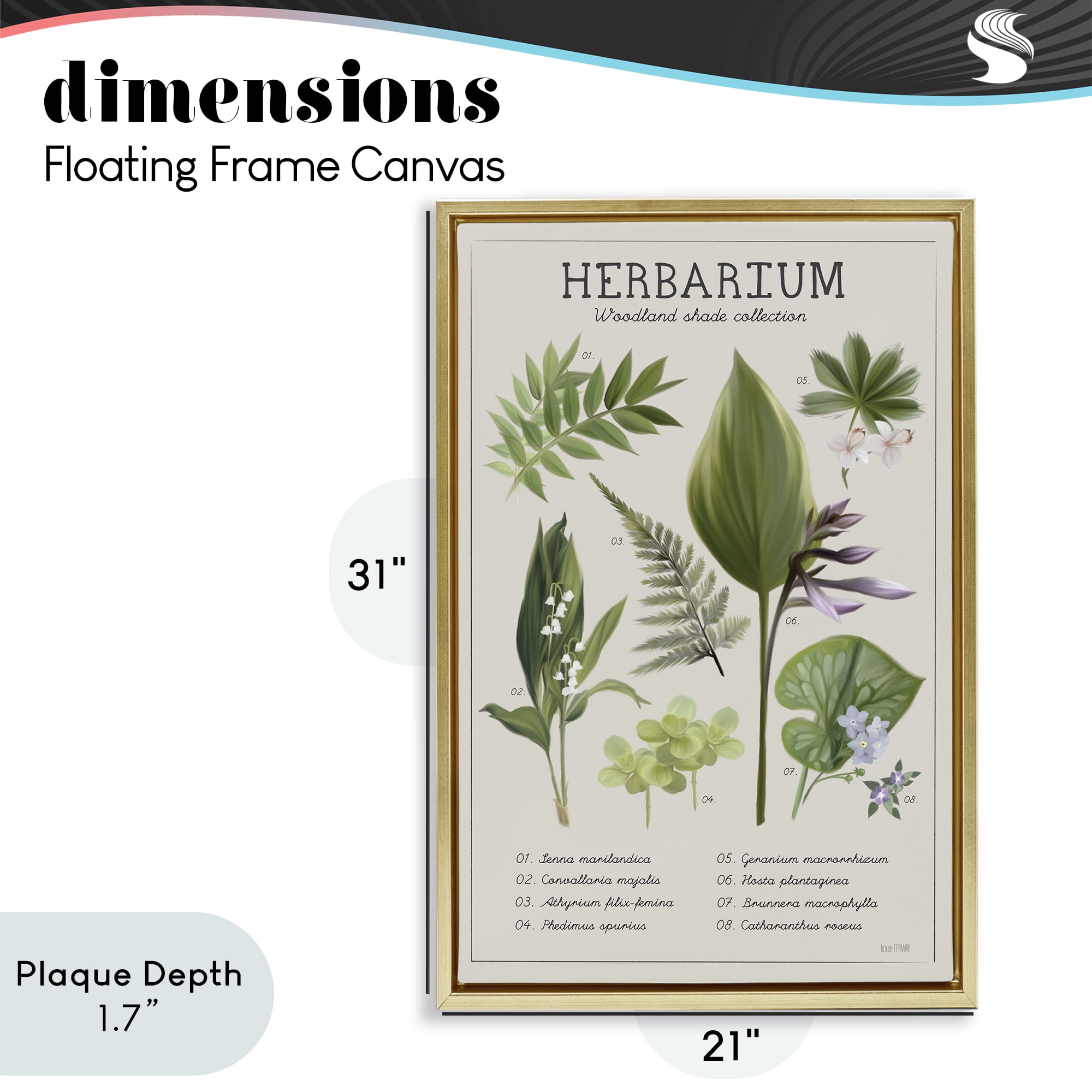 Stupell Industries Herbarium Woodland Shade Collection Gold Framed Floater Canvas Wall Art, design by House Fenway