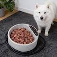 thumbnail image 7 of Heated Water Bowl With Cord To Keep Your Bowl Warm On Cool Day's, 7 of 7