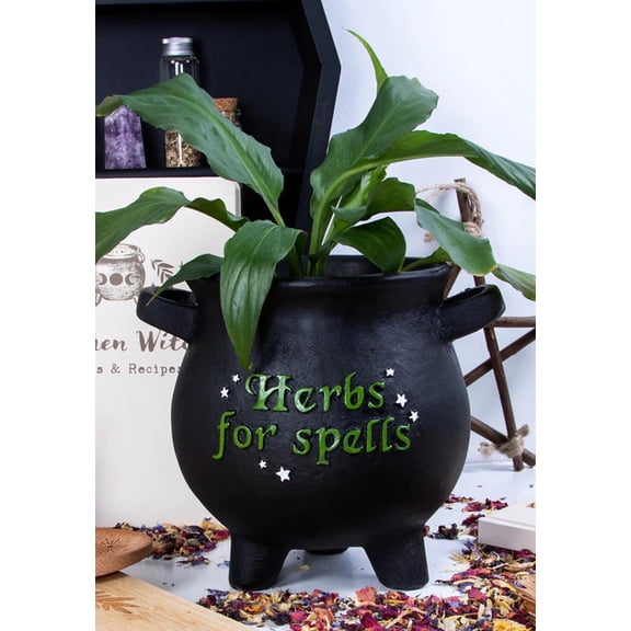 Green Thumb Witch Gardening Black Herbs For Spells Cauldron Planter Pot 7.5"D