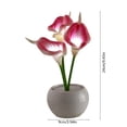 thumbnail image 3 of Artificial Calla Lily LED Night Lamp with White Vase,Simulation Flower Bedside Table Lamp for Bedroom,Living Room,Home Desktop Decor, 3 of 6