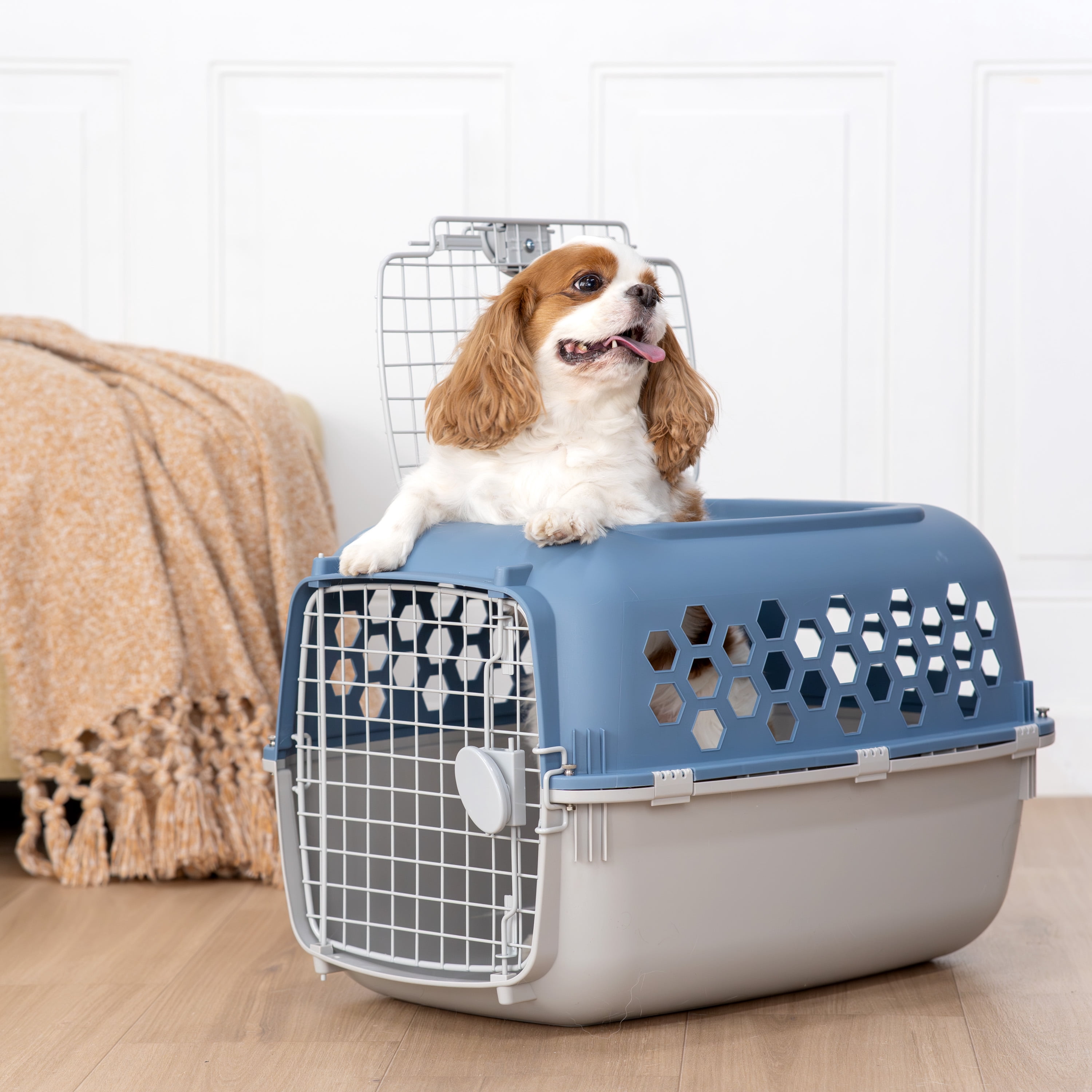 Vibrant Life Kennel for Dogs & Cats, Durable Plastic, Two Door Openings, Blue, Maximum Pet Weight 30 lbs, 24" L x 16.5" W x 14.5"H