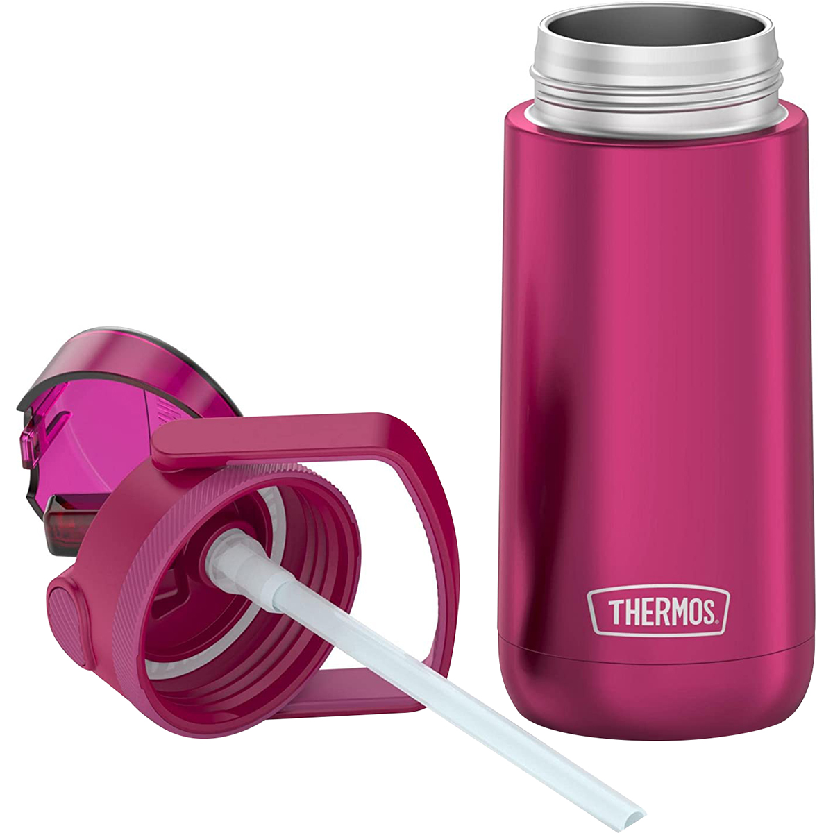 Thermos Kids 14 oz. Funtainer Insulated Stainless Steel Water Bottle - Aubergine
