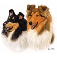 thumbnail image 3 of CafePress - Double Rough Collie T Shirt - Men's Classic Cotton T-Shirts, 3 of 3