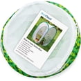 thumbnail image 3 of Butterfly Habitat Kit, Mesh Enclosure for Butterfly Rearing, Educational Insect Rearing Cage, 3 of 4