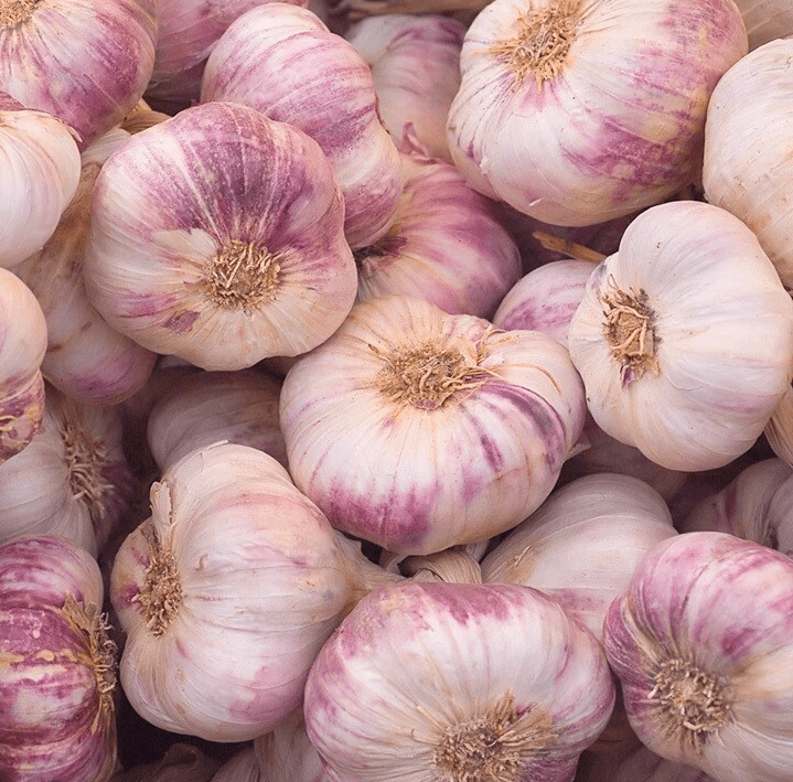 0.5 Lb Mixed Garlic Bulbs, Random Chesnok Red Garlic Music Garlic  Italian Garlic German Garlic Russian Garlic Cloves, Hardneck Garlic Tubers, Ready To Grow