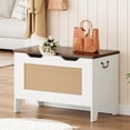 thumbnail image 3 of Bingirl 30-Inch Rattan Storage Bench with Safety Hinge Flip Top - Blanket Chest Trunk Supporting 350 Lbs for Entryway or Living Room, 3 of 8