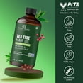 thumbnail image 2 of Botanic Hearth 100% Pure Tea Tree Oil For Hair Growth | Infused with Jojoba & Grapeseed Oils | Hair Oil Repairs Dry Damaged Hair, Strengthening, Healthier - Hair Tonic, 2.0 fl oz, 2 of 9