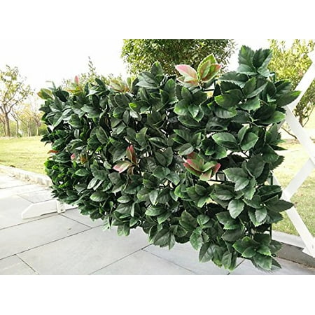 Artificial Hedge Plant Privacy Fence Screen Greenery Panels for Both Outdoor or Indoor, garden or backyard home decorations (20x20 inch artificalHedge-European Laurel, 1 PC (Best Type Of Fence For Backyard)