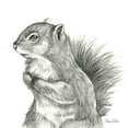 thumbnail image 2 of Wilson, Kelsey 20x20 White Modern Wood Framed Museum Art Print Titled - Watercolor Pencil Forest IV-Squirrel, 2 of 4