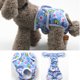 thumbnail image 3 of Paquete de 3 pañales lavables reutilizables para perros, pantalones fisiológicos para perros altamente absorbentes, pañales sanitarios para prevención de acoso de mascotas, pantalones fisiológicos MFZFUKR 222973-1, 3 of 8