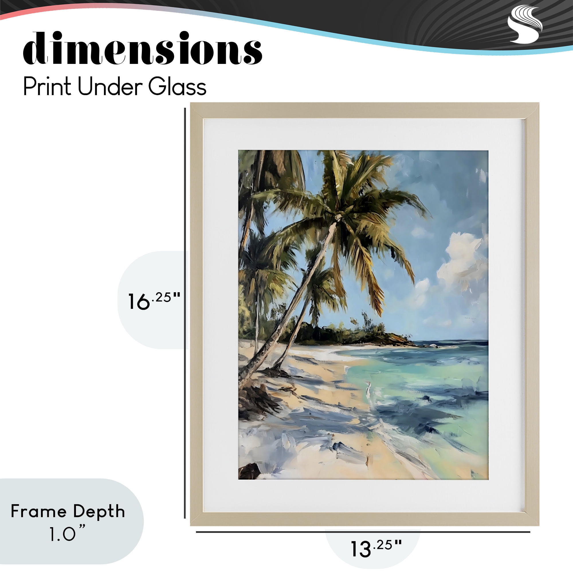 Stupell Industries Tropical Coastline Palm Frond Shadows Birch Framed Print Under Glass, design by Franklyn Gregory