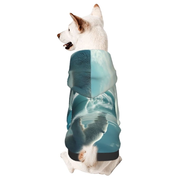 Fotbe Polar Bear On Iceberg Sudadera con Estampado para Perros Pequeños – Suéter con Capucha para Mascotas, Tela Suave de Forro Polar con Bolsillo-X-Large