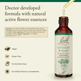 thumbnail image 2 of Bach Original Flower Remedies, Centaury - 20 mL Dropper, 2 of 6