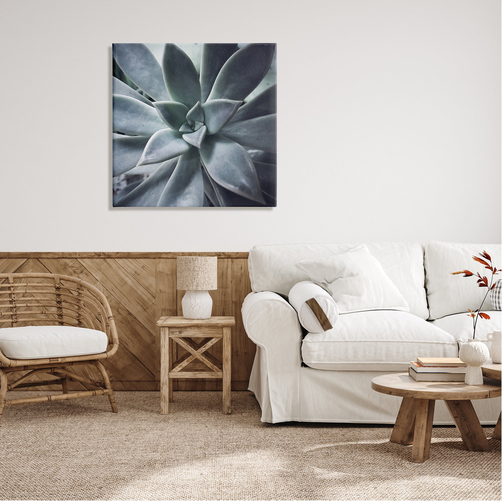 Stupell Industries Modern Succulent Close Up Plant Life Botanical Photograph Gallery Wrapped Canvas Print Wall Art, Design by unknown