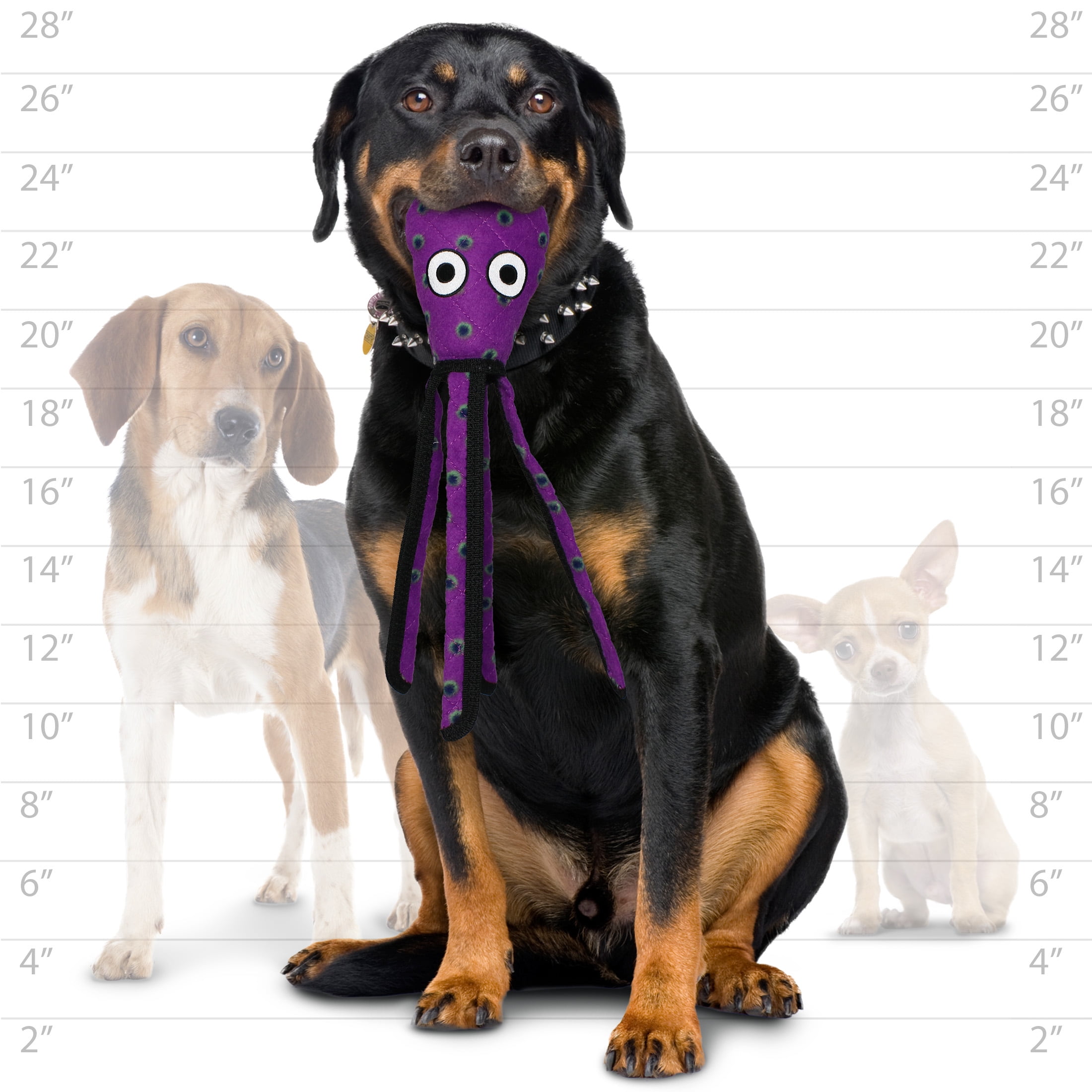 Tuffy Ocean Creature Squid Purple Durable Plush Squeaky Dog Toy