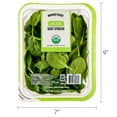 thumbnail image 6 of Marketside Organic Baby Spinach Salad, 5 oz Clam Shell (Fresh), 6 of 7