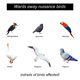 thumbnail image 2 of Dispositivos para asustar pájaros carpinteros, dispositivo de control de varillas de miedo reflectantes para mantener a los pájaros alejados (12 piezas), 2 of 5