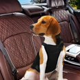 thumbnail image 7 of Xelparuc Dog Safety Vest Harness with Safety Belt for Most Car, Travel Strap Vest with Car Seat Belt Lead Adjustable Lightweight and Comfortable Black for Small Medium Large Dogs, 7 of 7