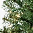 thumbnail image 4 of Holiday Time Noble 24" Pre-Lit Regular Full Spruce Christmas Tree - Green, 4 of 4