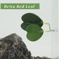 thumbnail image 3 of Camas para peces Betta de Unique Bargains, cama de hoja Betta, almohadilla de hamaca Betta con ventosa, suministros para peces Betta, decoración de acuario verde, 3 of 7