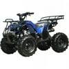 Coolster 125cc ATV 3125XR8