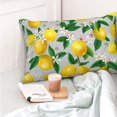 thumbnail image 4 of Honeii Lemon1 Print Pillow Cases,Plush Throw Pillow Covers,Decorative Pillowcase for Sofa, Couch, Living Room-20"x30", 4 of 6
