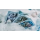 thumbnail image 3 of Juego de cartas en bicicleta World of Warcraft: Wrath of The Lich King, 3 of 5