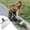 Style C, variant on Heavy Duty Snow Shovel with Long Handle, Multi Functional Cleaning Shovel for Driveway Snow Removal, Durable Ice Scraper Shovel for Car Roof Truck SUV
