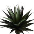 thumbnail image 6 of DecMode 47" Artificial Agave Tree in Black Pot, 6 of 9
