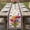 Beige, variant on Table Runner 72 Inches Long for Kitchen Dining, Spring Tulips Dresser Scarf Farmhouse, Dining Table Decorations for Wedding/Parties, Colorful Flowers Botanical Butterfly Farm Wooden 13 x 72 In