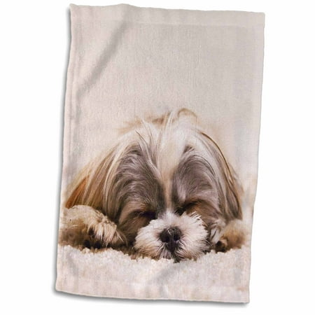 3dRose Shih Tzu. Sleeping. Best friend. - Towel, 15 by