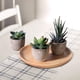 thumbnail image 5 of Trío de plantas suculentas artificiales en macetas para decoración de interiores y exteriores para el hogar, el balcón y la oficina, 5 of 8