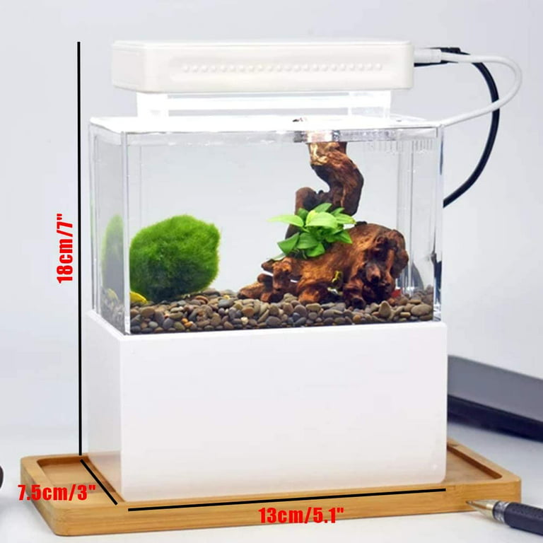 Oukaning Mini Fish Tank Aquarium Free Standing Ecological Grass