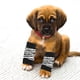 thumbnail image 4 of ColoMX 1 Juego de calcetines para perros, calcetines cálidos de invierno para perros, calcetines de algodón, cubierta para codo de perro, calcetín para gato (S), 4 of 8