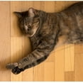 thumbnail image 2 of Jouet pour chat papillon, 2 of 3